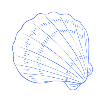 Seashell sketch doodle in blue. Vintage scallop shell icon with marine sea and beach style. Italian vintage sketch for marine icon.