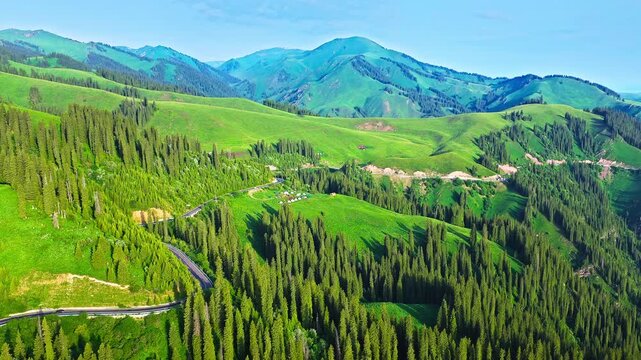 Aerial view of a winding road cutting through alpine spruce forests and green hills on Duku Highway, Xinjiang, China.