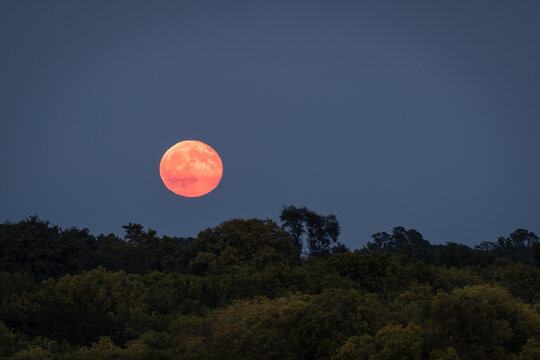 Sturgeon Moon rising over Central Kentucky
