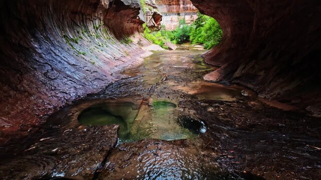 Pristine creek waters carve through sculpted sandstone pools within the tubular chambers of The Subway in Zion National Park Utah