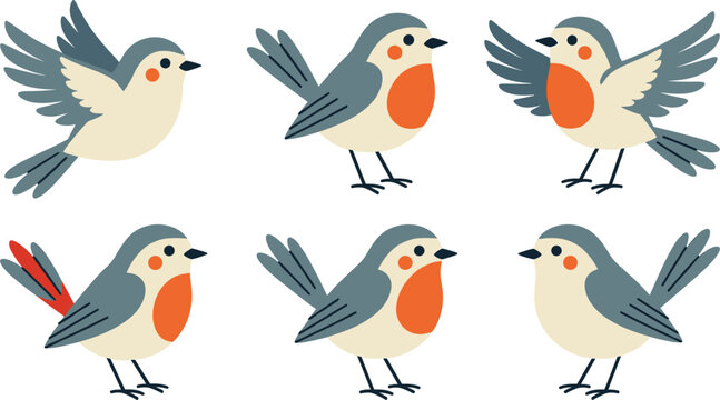 Cute cartoon robin birds vector character set with small grey and orange birds in various flying and standing poses, isolated on white background.