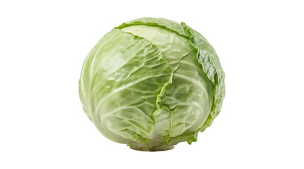 Obraz premium Fresh Whole Green Cabbage on Black Background transparent background