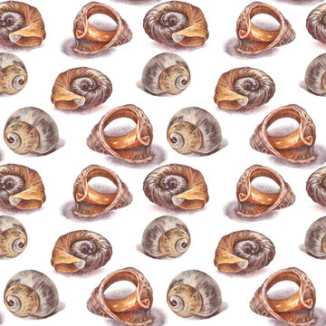 Watercolor seamless pattern with brown yellow sea shell with shadow on white background. Creative hand-drawn nature realistic art for celebration card. River element for wallpaper or wrapping