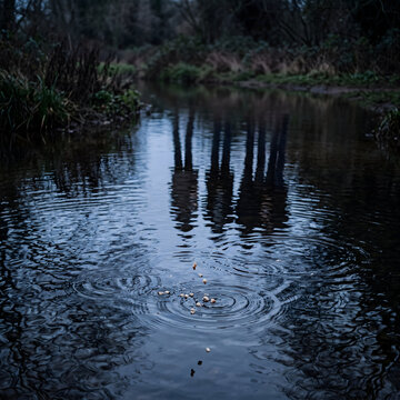 Abstract medium shot. The reflection of a group of people standing by a dark, rippling stream is visible in the water. Small breadcrumbs are hitting the surface, creating delicate concentric circles.