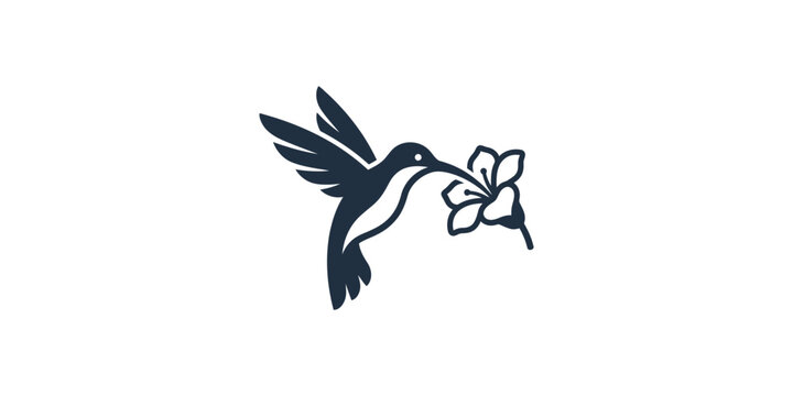 Minimalist Hummingbird Logo Icon Vector Illustration.