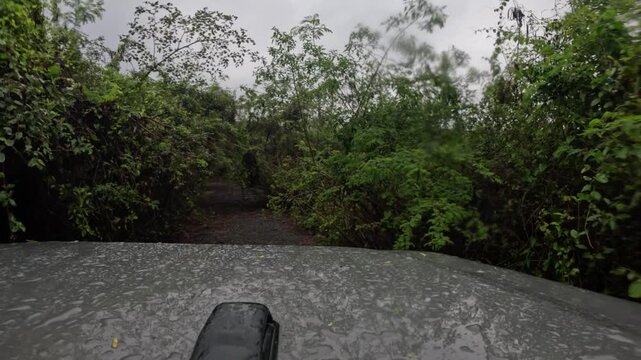 POV Driving Along an Overgrown Road in the Rain in Vieques, Puerto Rico