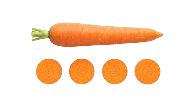 Fresh whole carrot and four round slices isolated on transparent background