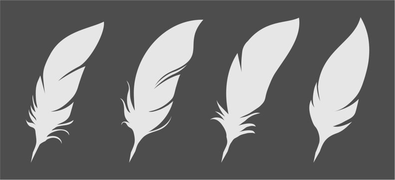 Set of white feather silhouettes on dark background for vintage writing, logo, and tattoo design.