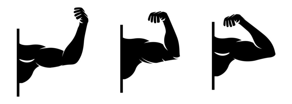 Set of muscular bicep arm silhouettes flexing muscle power for gym, fitness, and bodybuilding logo design.