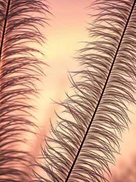 Feather-light fronds etched against a peach sky, a fleeting moment of tranquility,  art,  silhouette