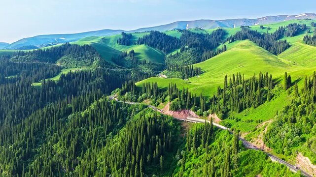 Aerial view of mountain landscape with dense spruce forest and winding road on Duku Highway, Xinjiang, China.