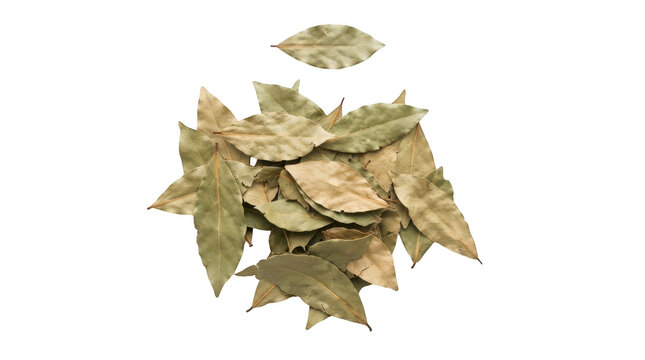 A pile of dried bay leaves isolated on transparent background