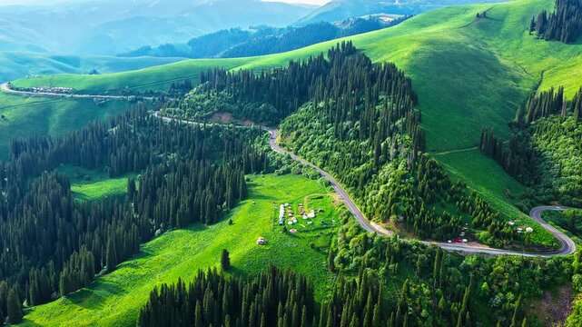 Aerial view of lush green mountain slopes covered with pine forests and winding road on Duku Highway, Xinjiang, China.