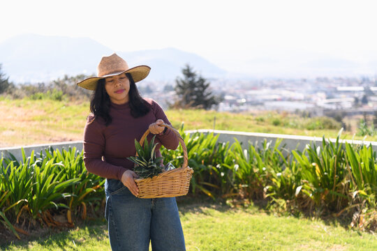 Hispanic woman holding a wicker basket with fresh pineapple outdoors