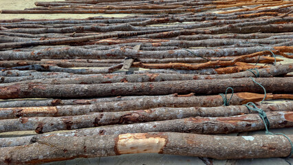 High angle shot of many raw wooden logs and tree branches laid neatly in parallel rows on sandy beach ground for construction or drying. © Bendy Moe