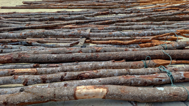 High angle shot of many raw wooden logs and tree branches laid neatly in parallel rows on sandy beach ground for construction or drying.