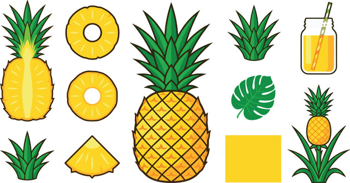 Flat pineapple tropical fruit vector illustration set featuring whole ananas cross section halves rings wedges cubes juice mason jar and monstera leaves