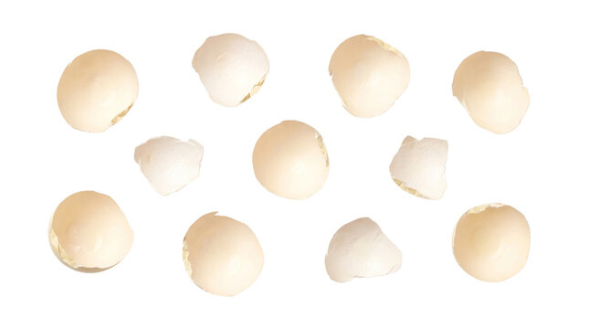 Natural cracked eggshell fragments overhead flat lay collection