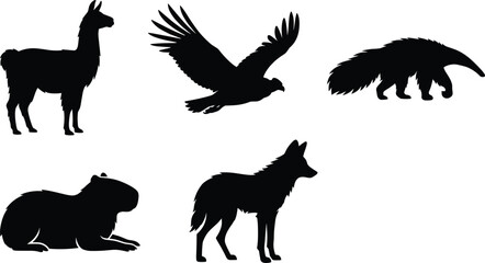 Fototapeta premium South American animals black silhouettes set featuring detailed wildlife graphics of a llama, flying condor, giant anteater, sitting capybara, and maned wolf isolated on white.