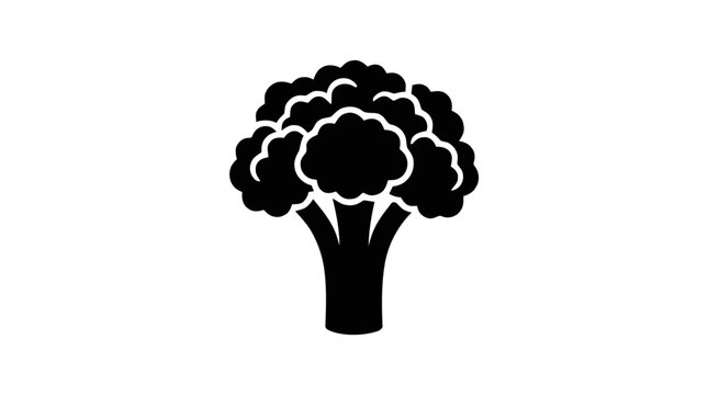 Vector illustration of broccoli vegetable icon on a transparent background
