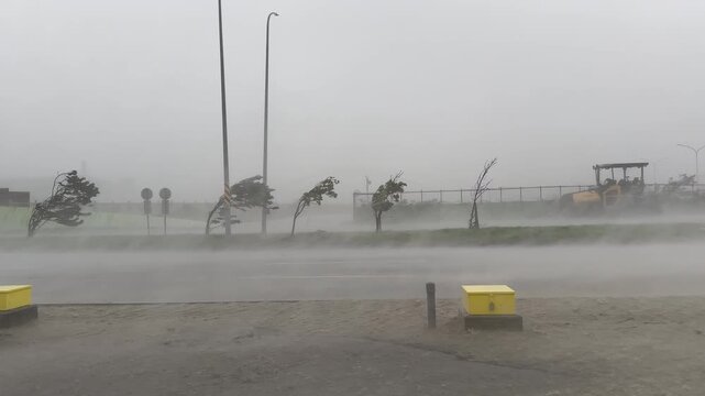 Hurricane Wind And Rain Lash Highway