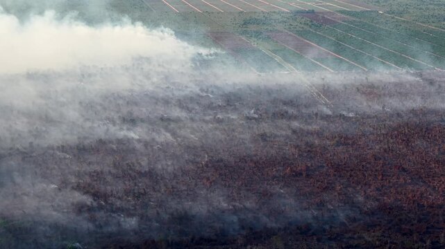 Smoke rises over burning fields. Darkened earth contrasts with green rows beyond