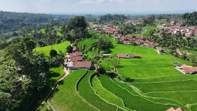 Aerial footage showcasing rice paddies, residential houses, and agricultural land in a rural Indonesian landscape. The composition illustrates how village settlements exist alongside farmland