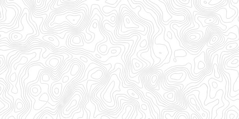 Abstract grid landscape topography white background. white and black relief line wireframe isoline location diagram world map texture design.   © MOHAMMAD