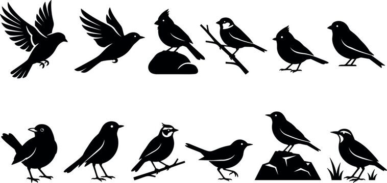 Wild Songbird and Small Garden Bird Silhouette Collection Featuring Flying Flying Robins Cardinals Sparrows Finches and Orioles Vector Clipart Graphic Elements