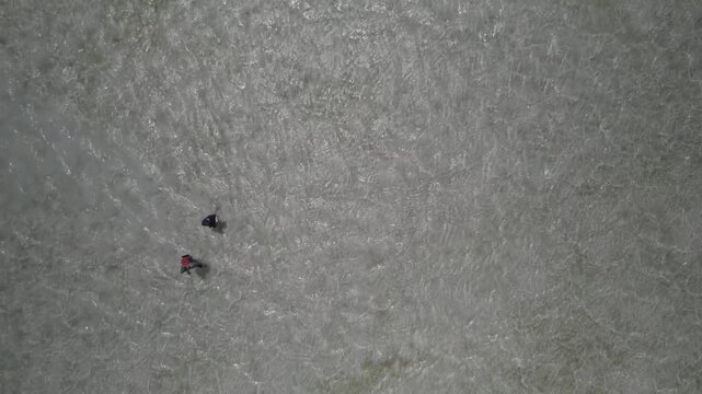 Aerial top-down tracking shot of two men fly fishing on the shallow saltwater flats of the Caribbean Sea, Los Roques, Venezuela