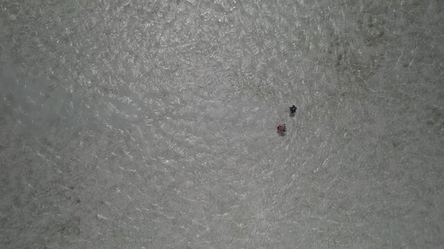 Fishermen fly fishing in shallow Caribbean sea water, Aerial top-down tracking of the two anglers walking on saltwater flats catching fish, Los Roques, Venezuela