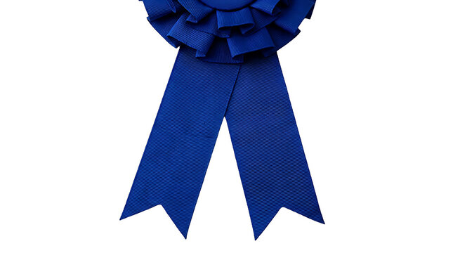 A single deep blue rosette award ribbon isolated on a clean white background for competition winners