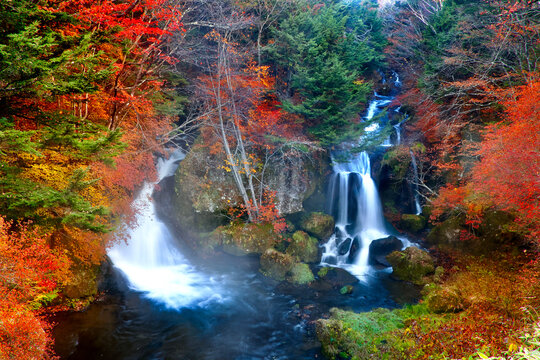 紅葉の竜頭ノ滝（栃木県・日光市）