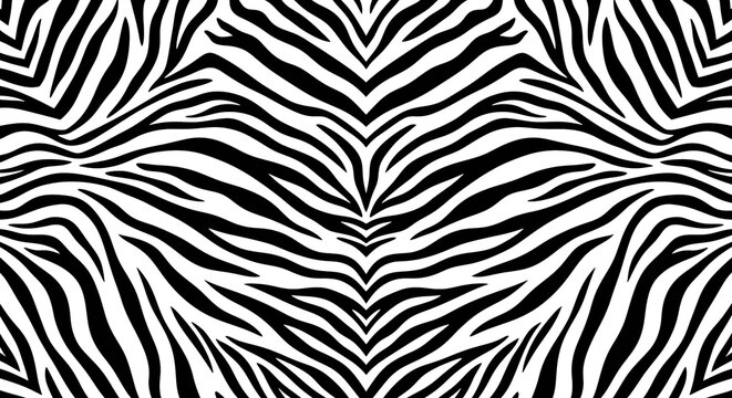 Zebra print pattern vector background. Black and white animal fur stripes graphic design. Seamless tileable texture for fashion apparel. Modern wildlife wallpaper and textile print element