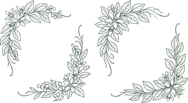 Floral Frame Corner Illustration with Leaves and Flowers, Decorative Botanical Design, Vector Graphic, Minimalist Style, Isolated on White Background