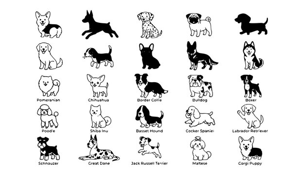 Vector Collection of Dog Breeds with Corgi, Chihuahua, Poodle, Bulldog, Labrador Retriever, and Great Dane Cartoon Icons for Pet Designs