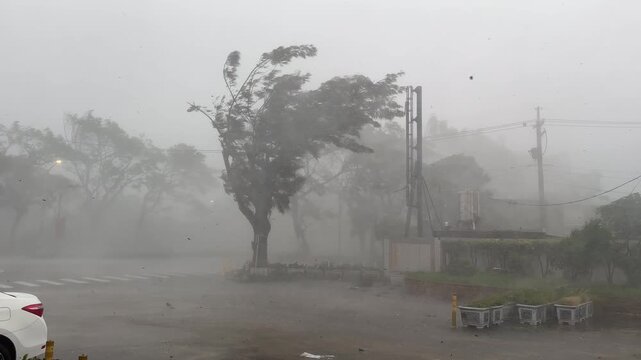 Hurricane Force Winds Whip Trees As Powerful Storm Moves Ashore