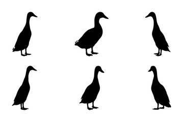 Fototapeta premium Six Black Duck Silhouettes, Vector Graphics for Nature and Wildlife Designs