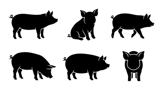 Pig Silhouettes Set, Farm Animal Icons, Livestock Vector Graphics, Cute Swine Illustrations