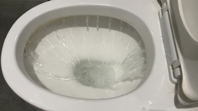 Water Flushing in Toilet Bowl