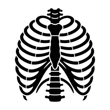 Black silhouette of human ribcage and spine on white background anatomy