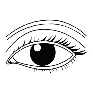 Minimalist black and white line art illustration of a human eye with eyelashes.