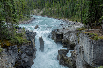 Powerful turquoise river cascades over rugged rocks in a dense pine forest, Athabasca Fall, Jasper park, Alberta, Canada © Rajesh