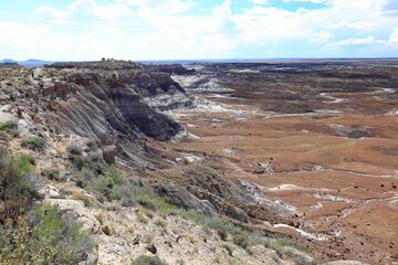 Blue Mesa Scenic Trail in Petrified Forest National Park, a natural attraction place with many petrified tree trunks and fossils, in Arizona, USA. © leochen66