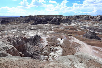 Blue Mesa Scenic Trail in Petrified Forest National Park, a natural attraction place with many petrified tree trunks and fossils, in Arizona, USA. © leochen66