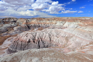 Blue Mesa Scenic Trail in Petrified Forest National Park, a natural attraction place with many petrified tree trunks and fossils, in Arizona, USA. © leochen66