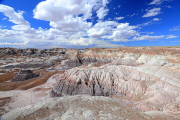 Blue Mesa Scenic Trail in Petrified Forest National Park, a natural attraction place with many petrified tree trunks and fossils, in Arizona, USA. © leochen66