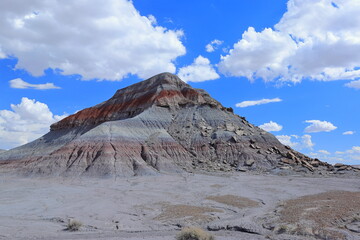 Petrified Forest National Park, a natural attraction place with many petrified tree trunks and fossils, in Arizona, USA. © leochen66