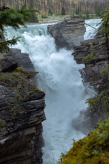 Powerful waterfall cascades over rugged rock formations in a lush forest setting, Athabasca Fall, Jasper park, Alberta, Canada © Rajesh