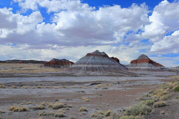 Petrified Forest National Park, a natural attraction place with many petrified tree trunks and fossils, in Arizona, USA. © leochen66